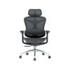 SIHOO Doro-C300 Ergonomic Office Chair with Premium Mesh Seat Headrest Armrest Lumbar Support (Black)