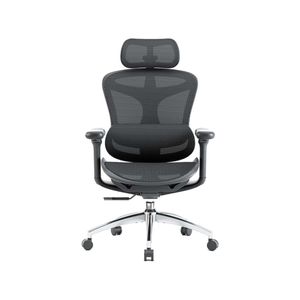 SIHOO Doro-C300 Ergonomic Office Chair with Premium Mesh Seat Headrest Armrest Lumbar Support (Black)