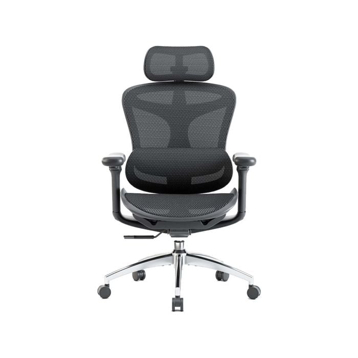 SIHOO Doro-C300 Ergonomic Office Chair with Premium Mesh Seat Headrest Armrest Lumbar Support (Black)