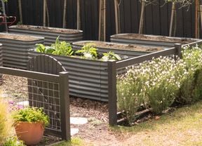 An image of a garden has raised metal beds, mostly filled with soil, and one with green plants