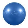 GoFit Pro Yoga Fitness Workout Exercise Balance Guide Ball 55cm Blue