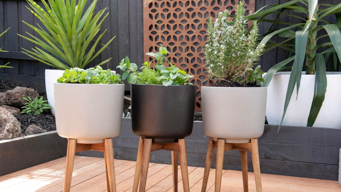 Herbs in raised pots in a garden