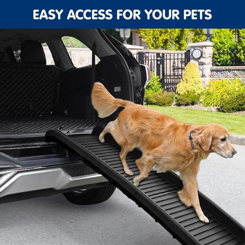 Dog ladder for car best sale