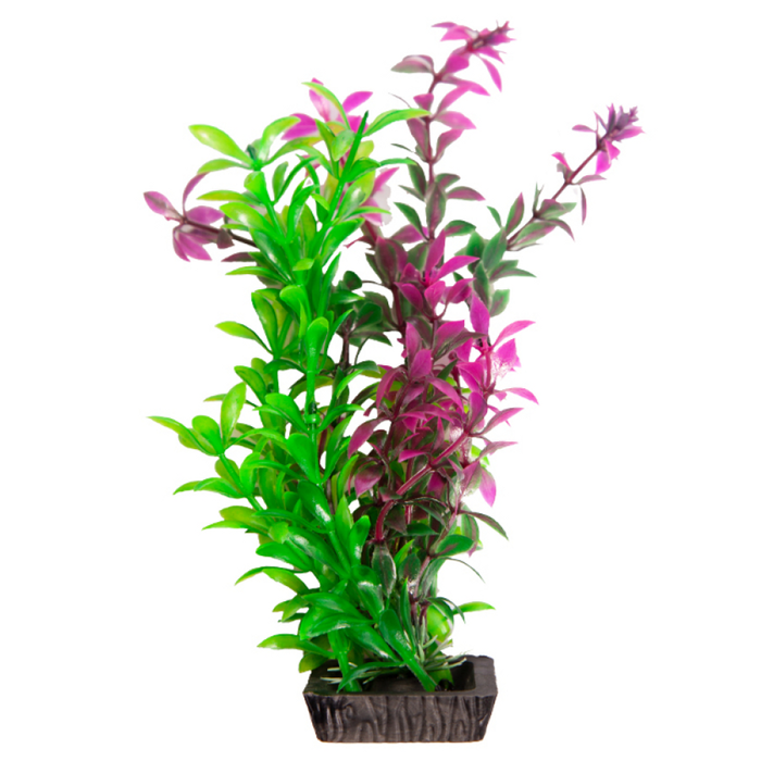 Aqua One Ecoscape Medium Rotala Purple (28271)
