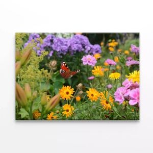 Butterfly Perched On a Flower  Print 100% Australian Made 150 x 100cm  (Stretched)