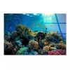 Beautiful Coral Reef  Print 100% Australian Made 150 x 100cm  (Acrylic)