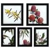 5pc Frankie & Me Wooden Collage Picture Frame Home/Office Photo Decor Black