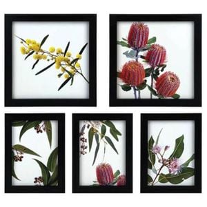 5pc Frankie & Me Wooden Collage Picture Frame Home/Office Photo Decor Black