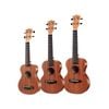 Enya 20 Sapele Ukulele with Padded Gig Bag - Soprano