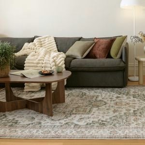 Cosy lounge with sofa, patterned rug, coffee table, and side lamp