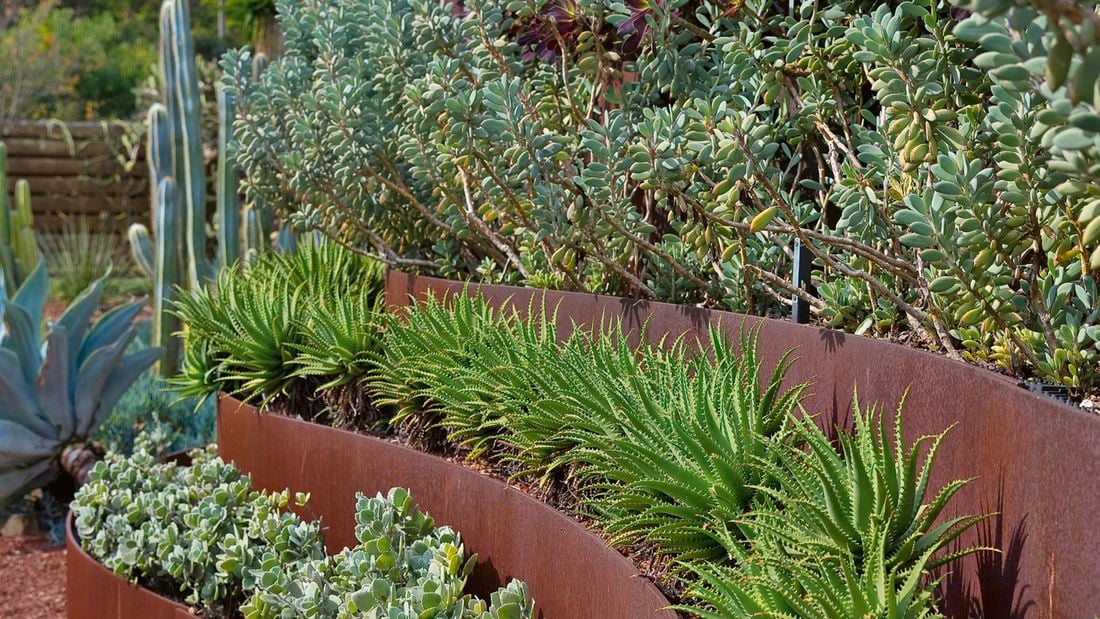 Outdoor area with tiers of succulent plants.