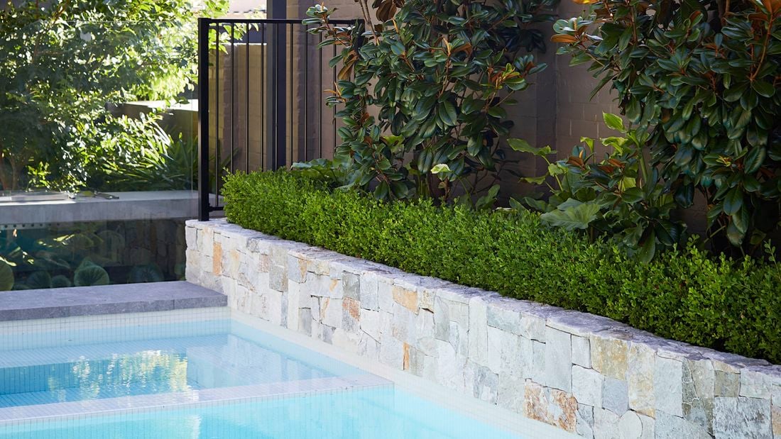 The edge of a pool, with a rock face planter box with a hedge and greenery garden design.