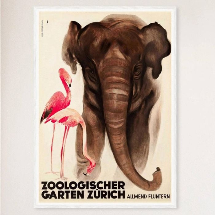 Galrie Vintage Switzerland Zoological Garden Zurich Poster Timeless Wall Art Home Decor, White Frame, 50 x 70cm (20 x 28inch)
