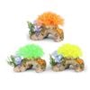 Kazoo Soft Coral On Rock (19463)