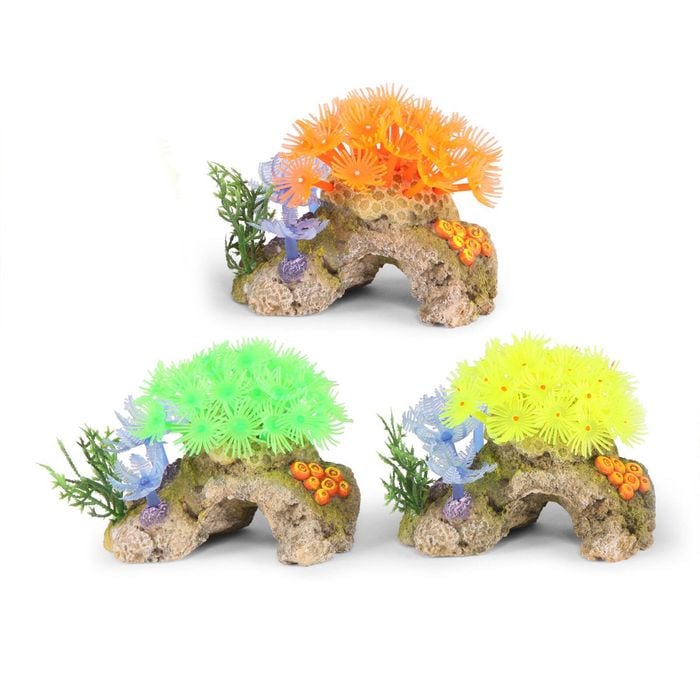 Kazoo Soft Coral On Rock (19463)