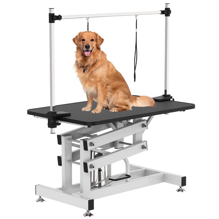 Advwin Hydraulic Pet Grooming Table Heavy Duty Pet Salon Table
