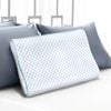 Giselle Cool Feeling Memory Foam Pillow