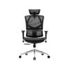 Sihoo M90C Ergnonomic Office Chair with Dynamic Lumbar Support (Black)
