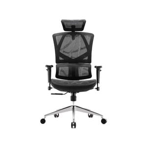 Sihoo M90C Ergnonomic Office Chair with Dynamic Lumbar Support (Black)