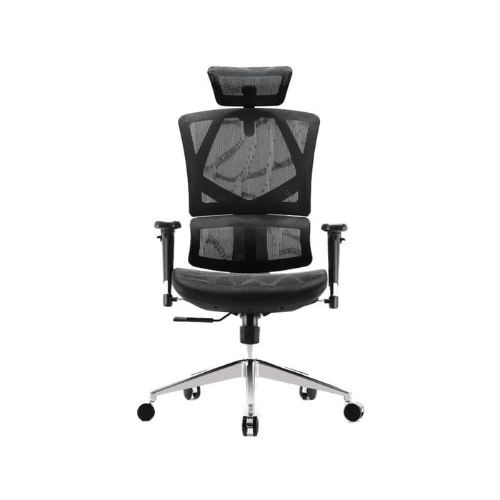Sihoo M90C Ergnonomic Office Chair with Dynamic Lumbar Support (Black)