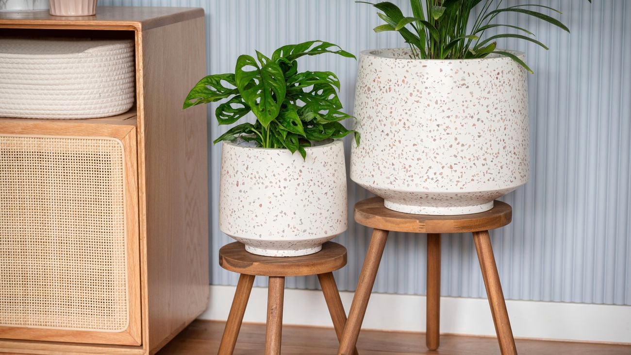 Transform your space with stylish Indoor plant stands 
