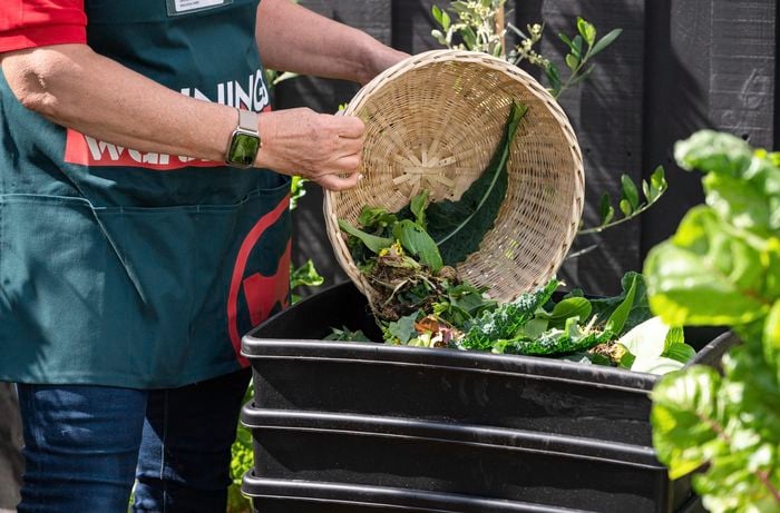 Tm collecting useable nutrients in a basket