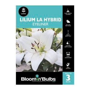 Bloomin' Bulbs Lilium LA Hybrid Eyeliner - 3 Pack