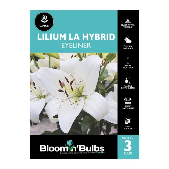 Bloomin' Bulbs Lilium LA Hybrid Eyeliner - 3 Pack