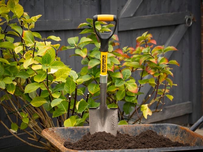Roughneck Micro Round Shovel sitting in soil in a wheelbarrow.