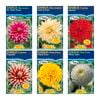 Fiesta Flower Bulbs Assorted Dahlia Tubers