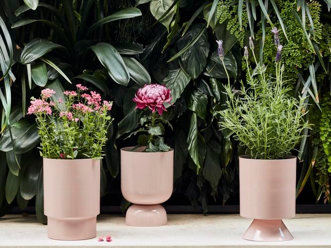 pot range
