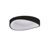 Lexi Lighting Hayley Ceiling Light - Small Black