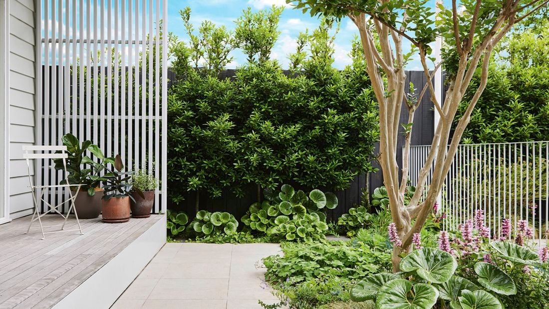 The back deck of a weatherboard house with a slatted white privacy panel and a paved area with a garden bed bordering a dark fence, and a curved garden bed in front of a white metal pool fence.