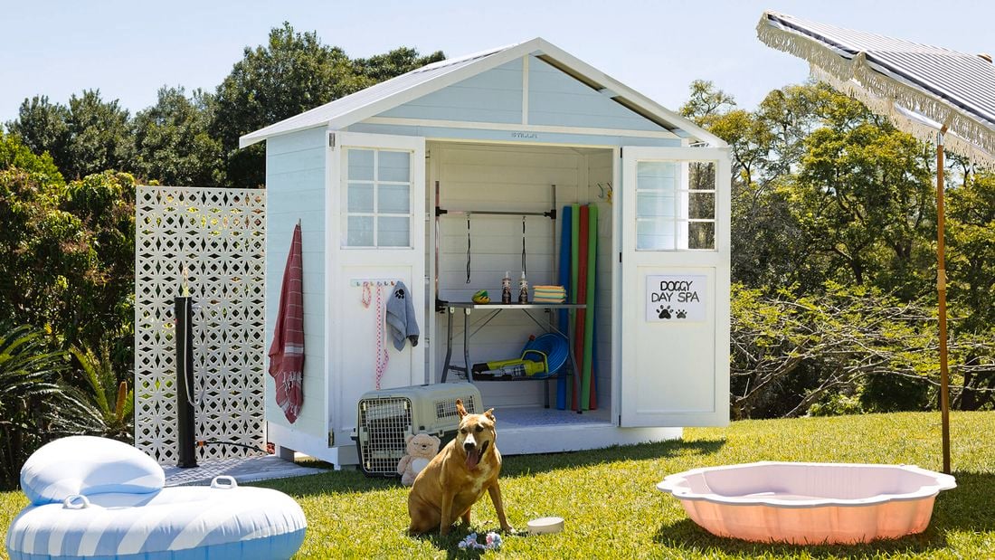 ackyard with a shed with the doors open to shelves and pet grooming products. A brown dog sits on the grass along with an inflatable ring, a pink shell kidspool and toys.