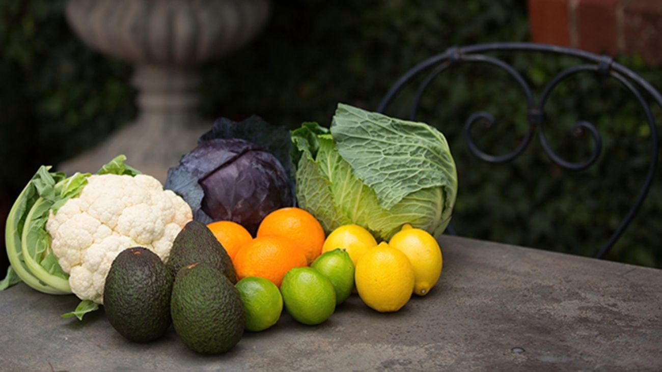 Caulifower, avocados, limes, lemons, oranges, lettuce and cabbage sitting on a table