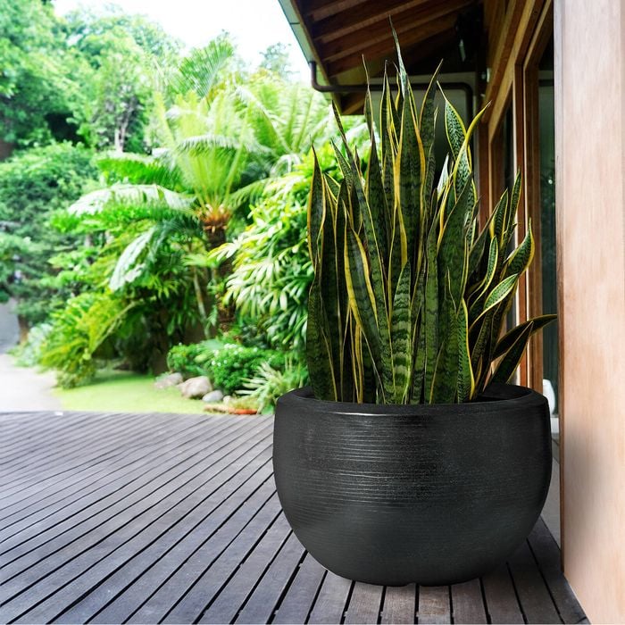 Capi 1080 x 750mm Black Ball Vase Pot