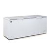 AG Equipment AG Commercial Chest Freezer - 670 Litre - Commercial Chest Freezers (AG-BD700S)