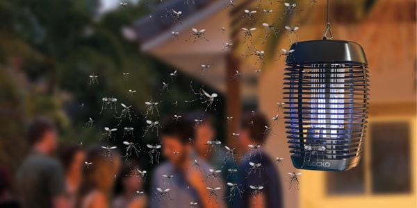 Mosquito killer