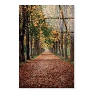 Avenue Covered by Fall   Print 100% Australian Made 60 x 90cm  (Acrylic)