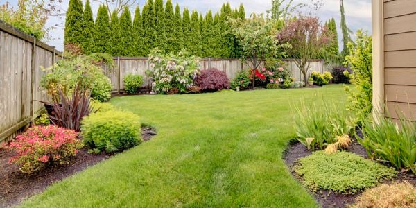 Image of lawn well prepared with edging around the corners