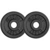 METEOR 1.25kgx2 Black Cast Iron Standard Weight Plates