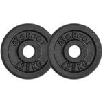METEOR 1.25kgx2 Black Cast Iron Standard Weight Plates