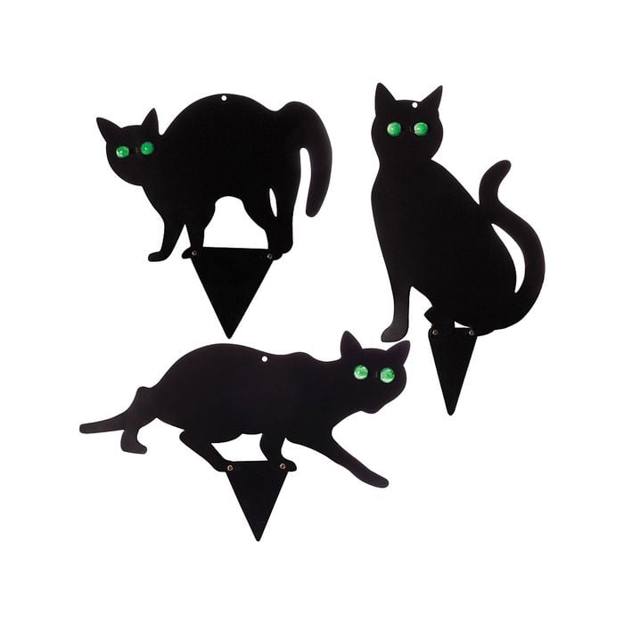 Black Cat Bird Scare - 3 Pack