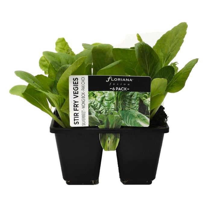 6 Cell Fusion Stir Fry Vegetable Range - Brassica Varieties