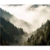 Fog In Forest Morning Scene Mountain  Print 100% Australian Made 150 x 100cm  (Stretched)