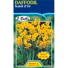 Daffodil Soleil d'Or - 5 Bulbs