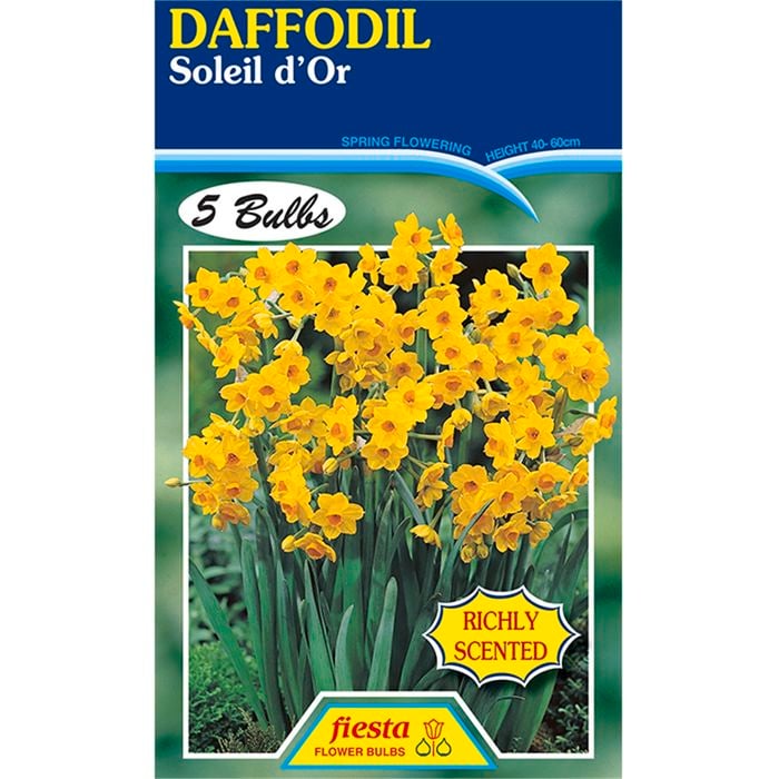 Daffodil Soleil d'Or - 5 Bulbs