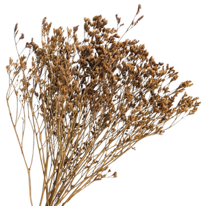 Blooms Of Joy 70cm Mustard Limonium Flowers