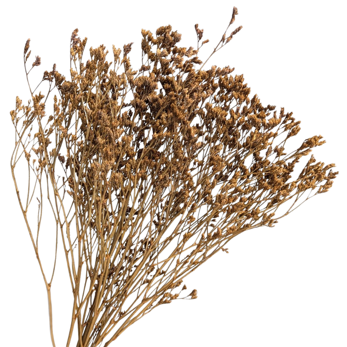 Blooms Of Joy 70cm Mustard Limonium Flowers