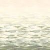 Wallpaper Trader Desertscape